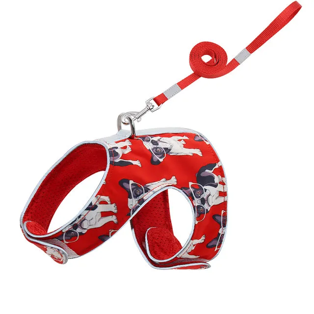 Comfortable Vest-Style Dog Harnesses and Leash