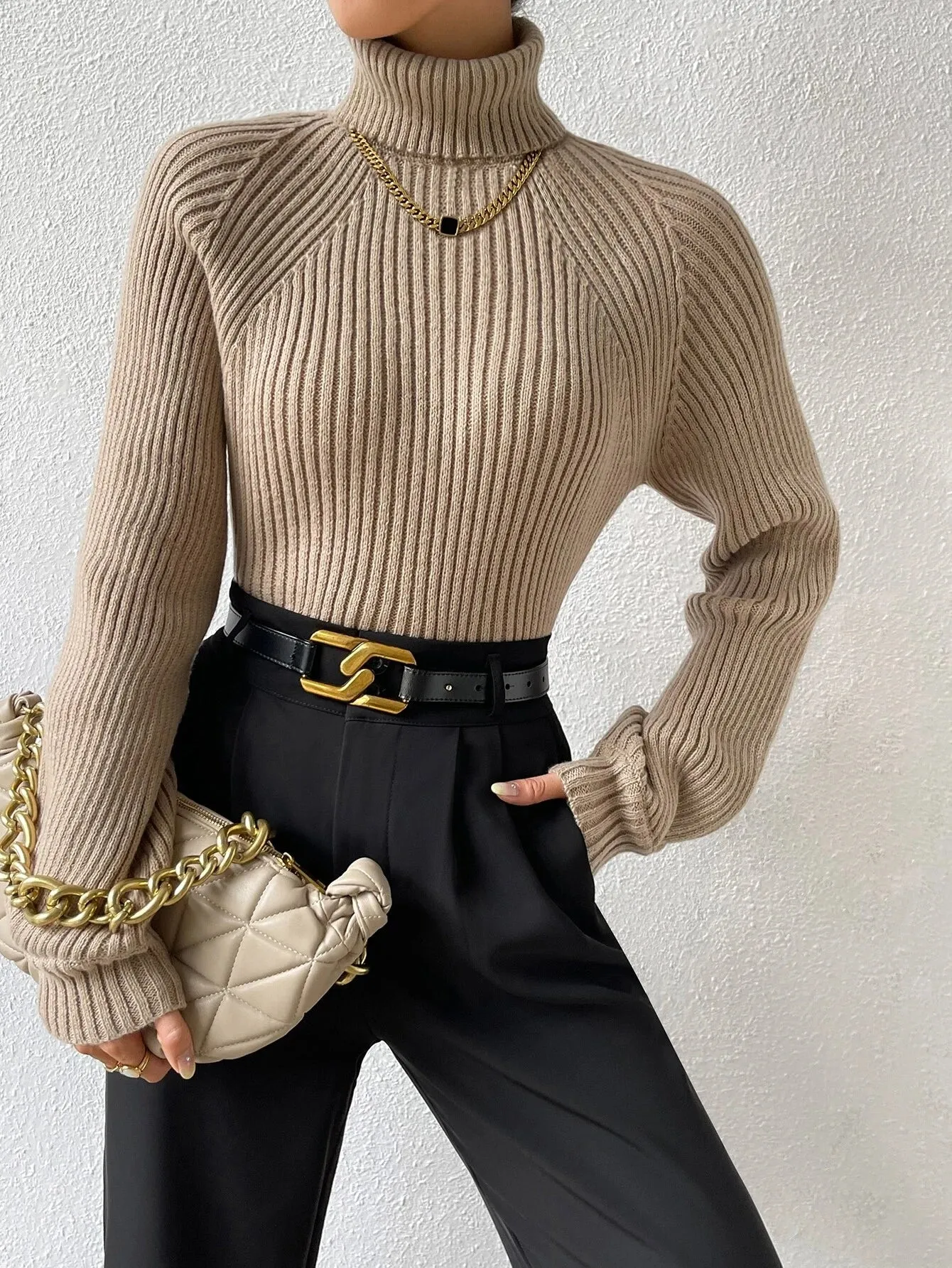 Shein Turtleneck Raglan Sleeve Ribbed Knit Sweater