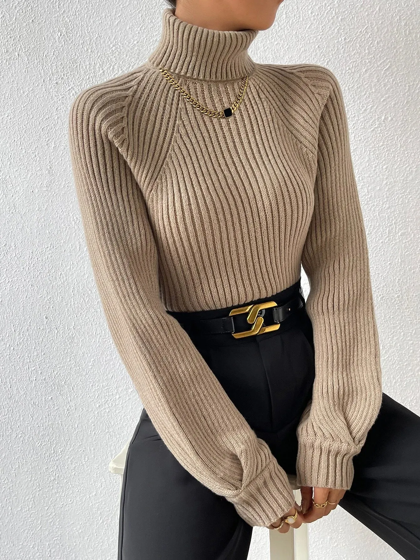 Shein Turtleneck Raglan Sleeve Ribbed Knit Sweater