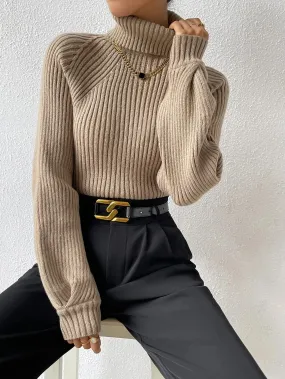 Shein Turtleneck Raglan Sleeve Ribbed Knit Sweater